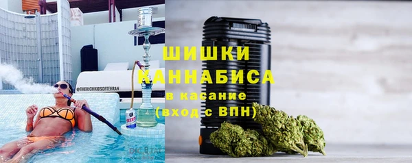 гидра Богородицк