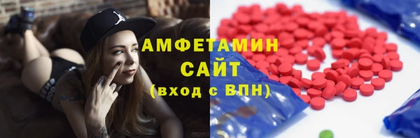 гидра Богородицк