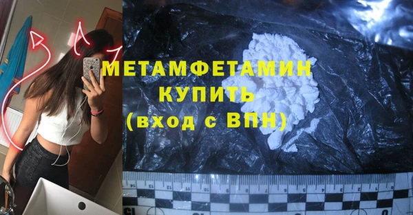гидра Богородицк