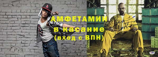 гидра Богородицк