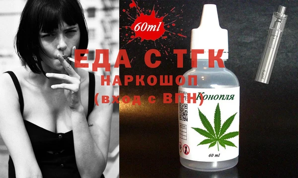 гидра Богородицк
