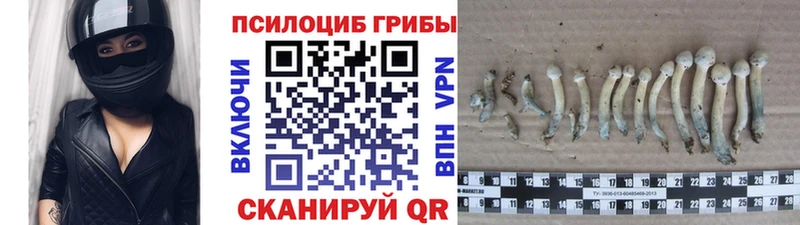 Галлюциногенные грибы Cubensis  Белая Калитва 